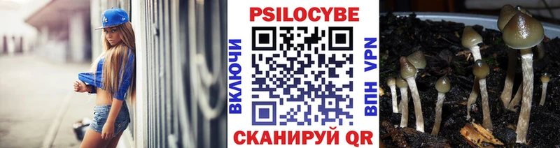Галлюциногенные грибы мухоморы  как найти   Долинск 